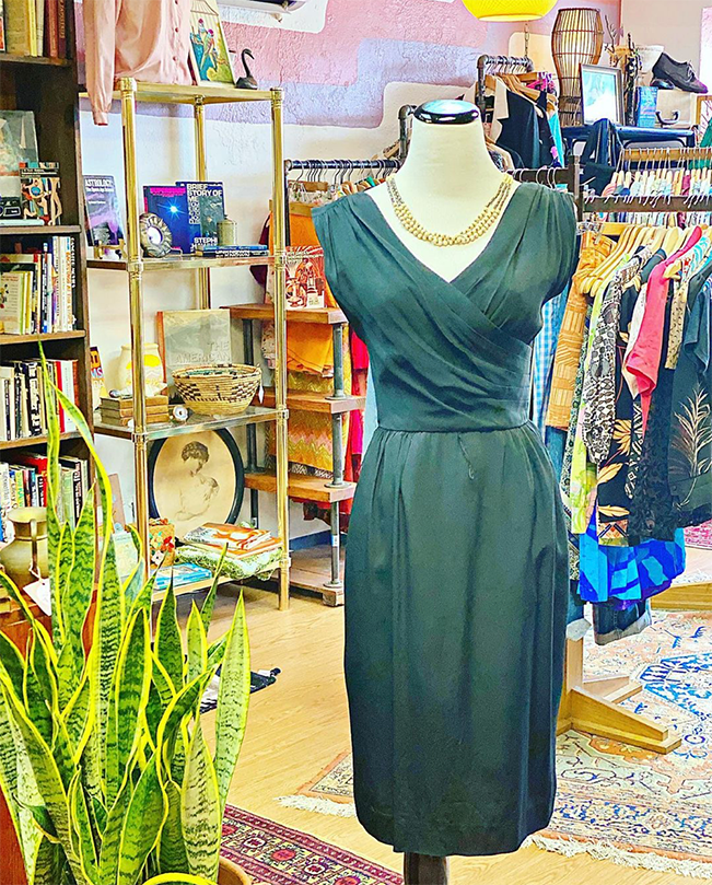A green dress, and a snake plant with vintage clothes hung up in the background 