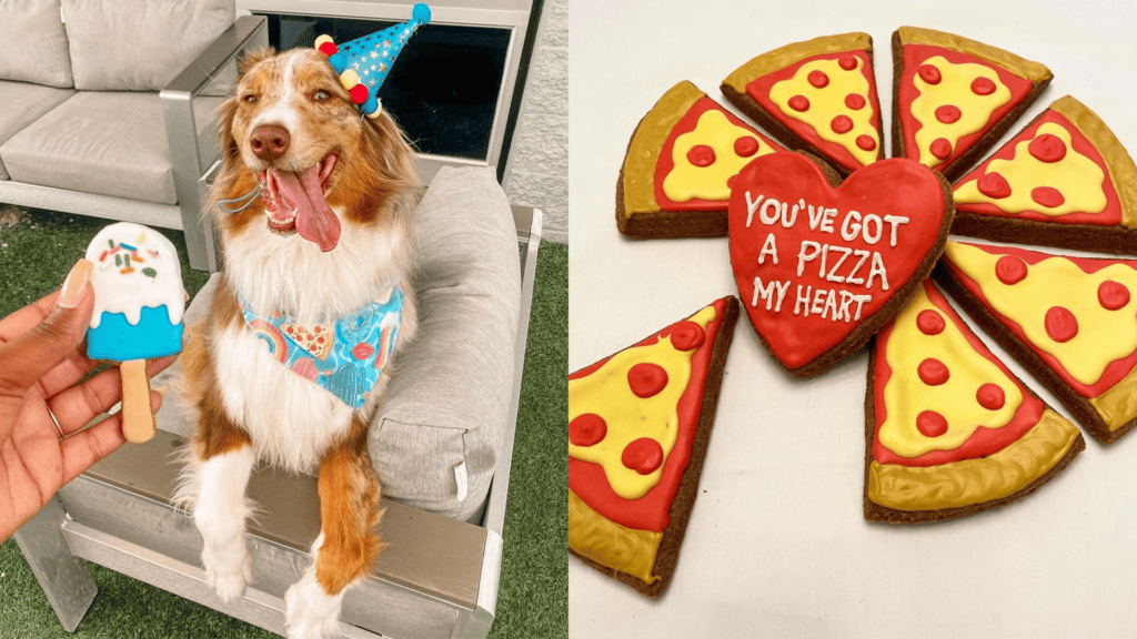pizza shaped cookies, a spall pop cookies being offered to a brown and white dog in a party hat. 